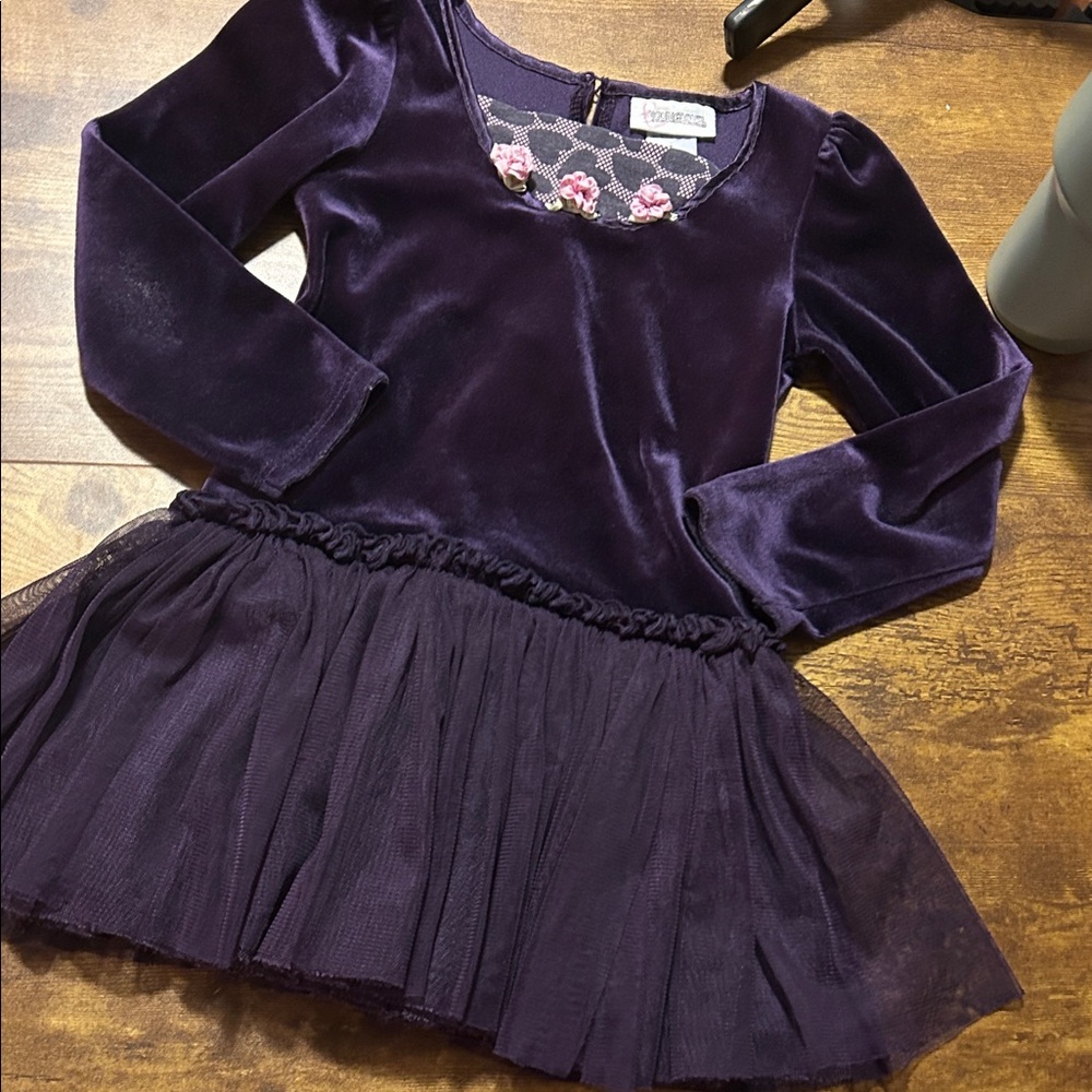 Youngland Purple Velvet Kids Dress Size 5 Tulle Pre-loved Hearts Easter Spring